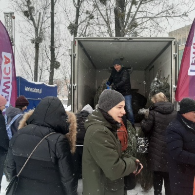 Świąteczna choinka w prezencie od Nowej Lewicy w Radomiu